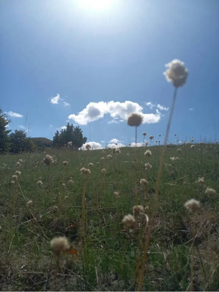 Prodaja, plac, 400000m², Podgorica, Crna Gora