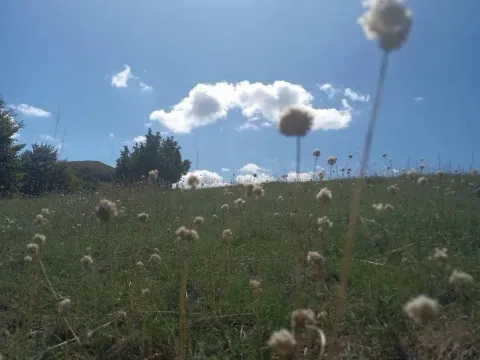 Prodaja, plac, 400000m², Podgorica, Crna Gora - image 4