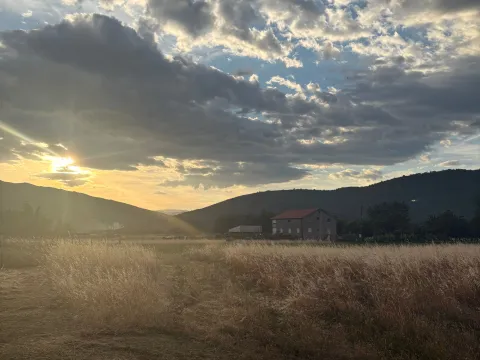 Prodaja, plac, 5000m², Donja Gorica, Podgorica - image 7