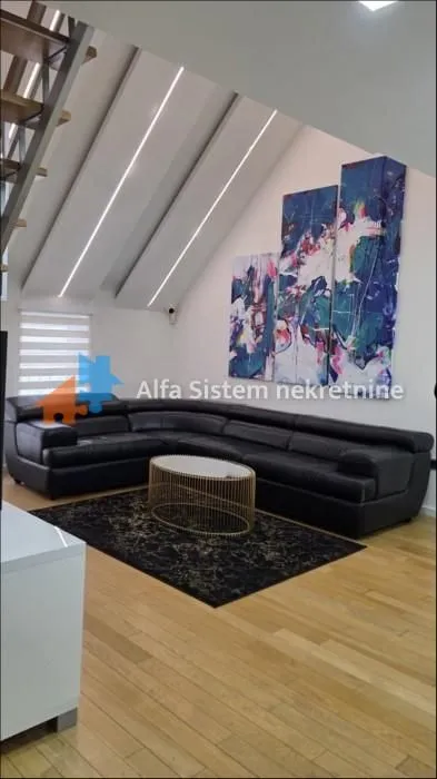 Izdavanje, stan, 130m², Bogoslovija, Palilula Sve Podlokacije