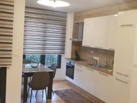 Izdavanje, jednosoban stan, 46m², Blok 9, Podgorica - image 2