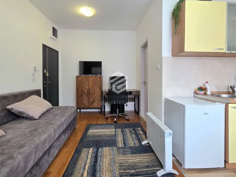 Izdavanje, stan, 20m², Zabjelo, Podgorica - image 4