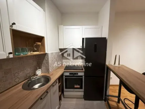 Izdavanje, stan, 49m², Tašmajdan, Palilula Sve Podlokacije - image 5