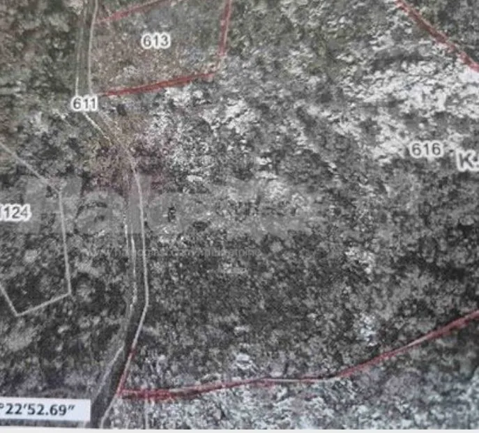 Prodaja, plac, 76159m², Ulići, Cetinje