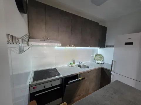 Rent, two bedroom apartment, 54m², Vojvode Vlahovica, Beograd - image 5