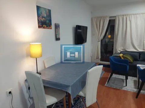 Izdavanje, jednosoban stan, 45m², Pivara, Jagodina - image 4