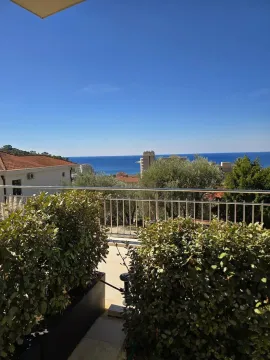 Terrace with a view of the sea and greenery. - image 10