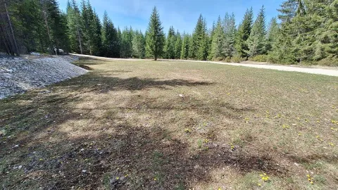 Prodaja, plac, 6750m², Podgora, Žabljak - image 6