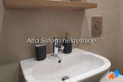 Rent, two bedroom apartment, 50m², Novi Beograd Blok 65, Novi Beograd Sve Podlokacije - image 14