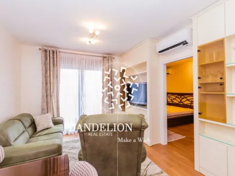 Izdavanje, jednosoban stan, 46m², Tološka šuma, Podgorica - image 4