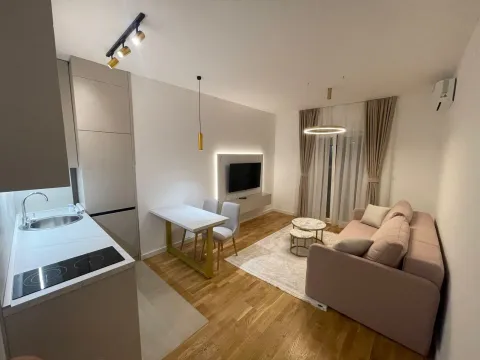 Izdavanje, garsonjera, 26m², Zabjelo, Podgorica - image 3