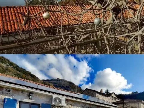 Rent, house, 70m², Pržno, Budva - image 2