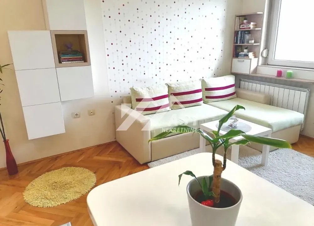 Izdavanje, stan, 30m², Nova Detelinara, Novi Sad Sve Podlokacije
