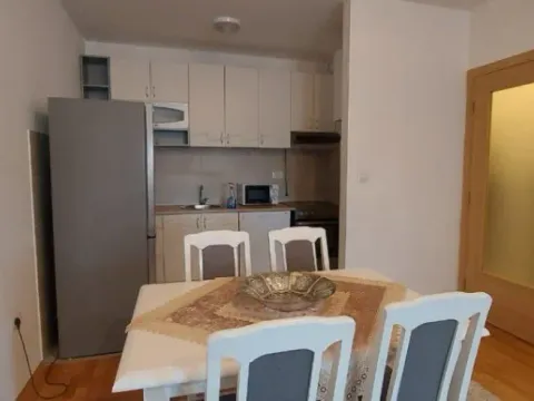 Izdavanje, jednosoban stan, 48m², Stari Aerodrom, Podgorica - image 5