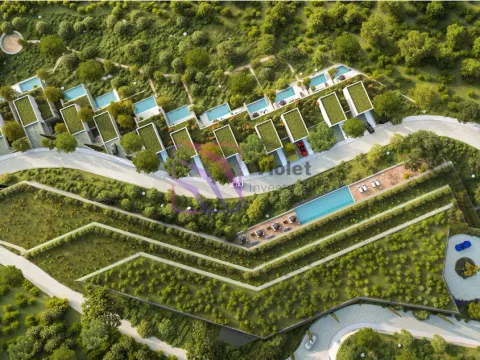 Prodaja, plac, 39872m², Risan, Kotor - image 1