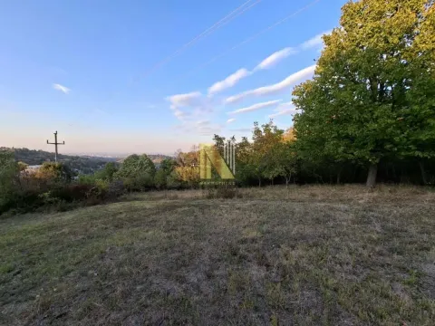 Pogled na prostrano zemljište sa drvećem i rastinjem. - image 3