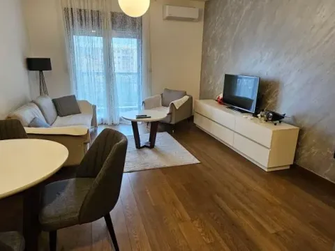 Izdavanje, jednosoban stan, 48m², Ljubović, Podgorica - image 2