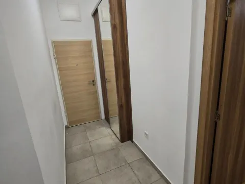 Rent, one bedroom apartment, 54m², Ljubović, Podgorica - image 10