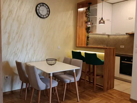 Rent, one bedroom apartment, 45m², Zabjelo, Podgorica - image 2