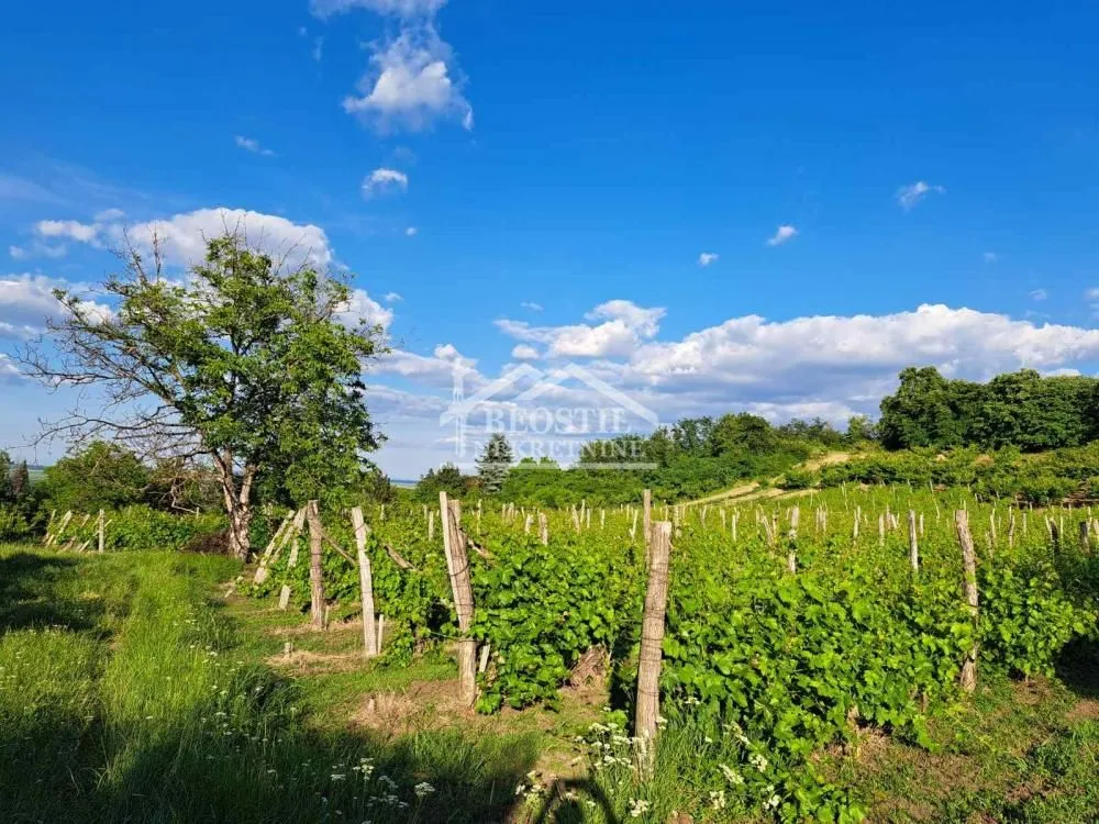 Prodaja, plac, 9563m², Grocka, Beograd