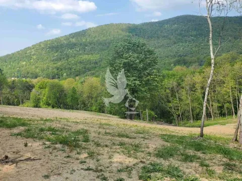 Prodaja, plac, 14000m², Kosmaj, Sopot - image 4