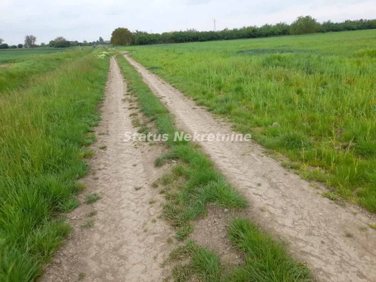 Prodaja, plac, 115m², Futog, Novi Sad Sve Podlokacije