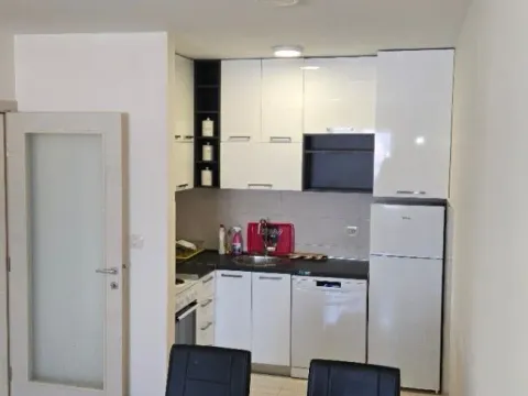 Izdavanje, jednosoban stan, 44m², Zagorič, Podgorica - image 9