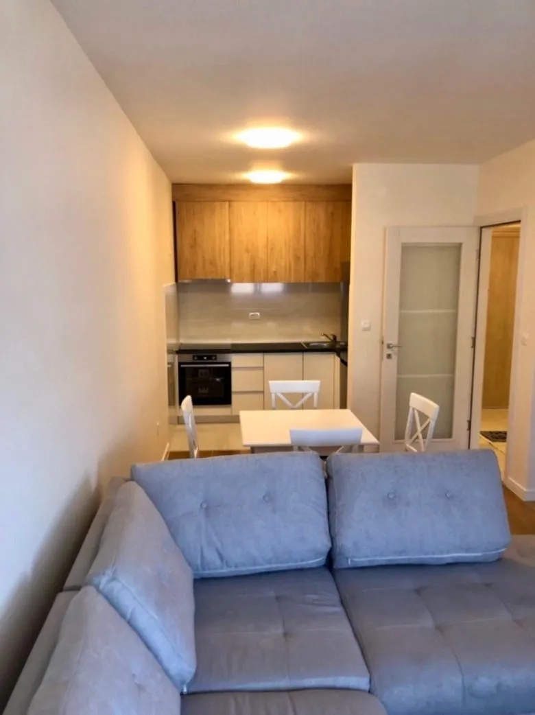 Izdavanje, jednosoban stan, 47m², Central Point, Podgorica