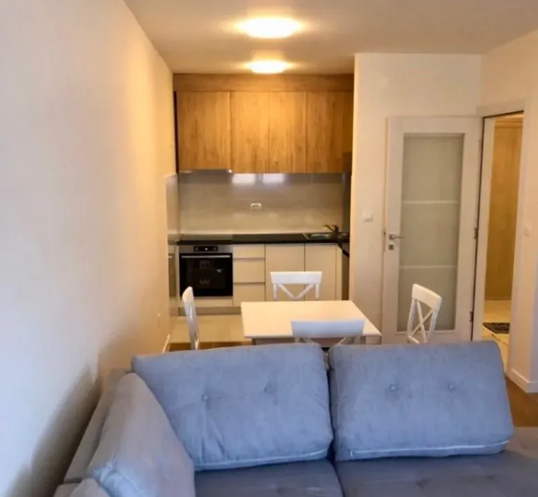 Izdavanje, jednosoban stan, 47m², Central Point, Podgorica