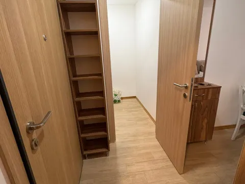 Rent, studio apartment, 37m², Golubovina, Budva - image 8