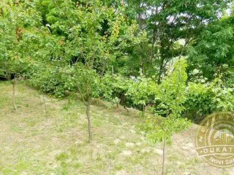 Sale, house, 104m², Rakovac, Novi Sad Sve Podlokacije - image 9