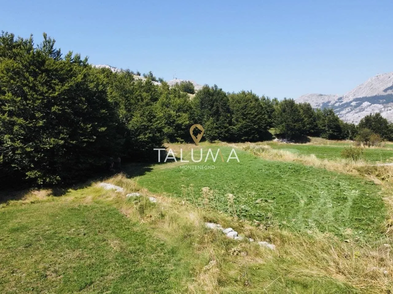 Prodaja, plac, 4269m², Ivanova Korita, Cetinje