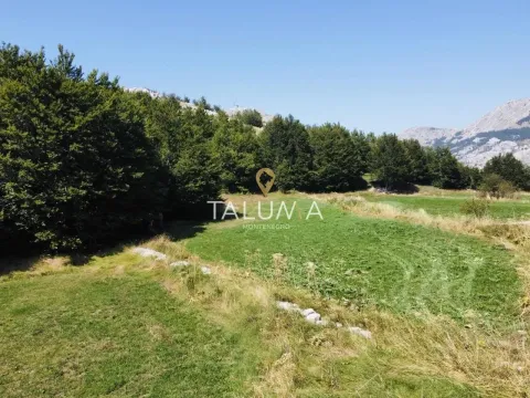 Prodaja, plac, 4269m², Ivanova Korita, Cetinje - image 3