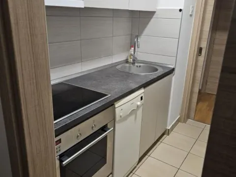 Rent, one bedroom apartment, 56m², Jugovićevo, Novi Sad Sve Podlokacije - image 5
