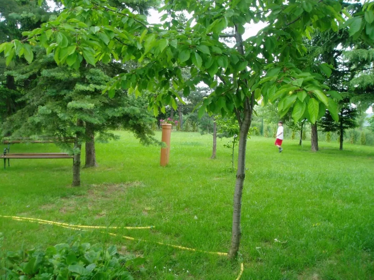 Sale, house, 360m², Irig, Srbija