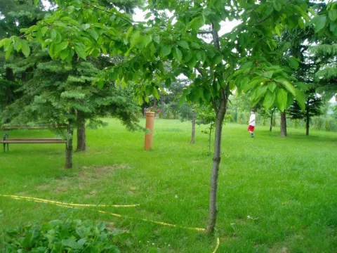 Prodaja, kuća, 360m², Irig, Srbija - image 17