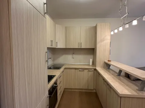 Izdavanje, jednosoban stan, 48m², Centar, Tivat - image 8