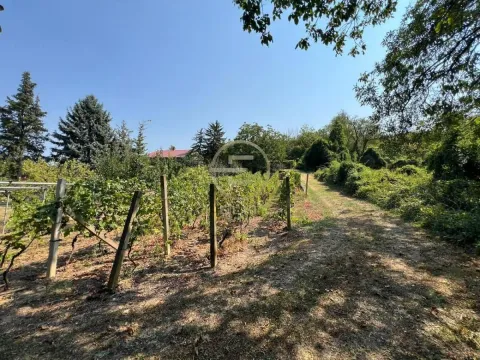 Prodaja, kuća, 99m², Karagača, Petrovaradin - image 8