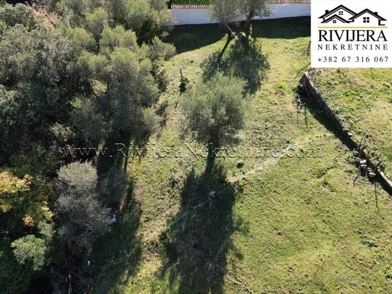 Prodaja, plac, 891m², Baošići, Herceg Novi