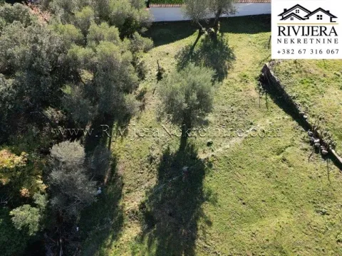 Prodaja, plac, 891m², Baošići, Herceg Novi - image 4