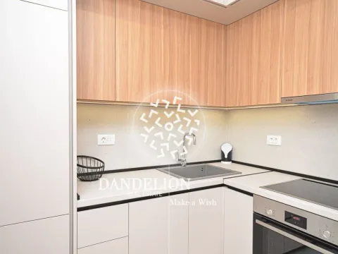 Izdavanje, jednosoban stan, 46m², Central Point, Podgorica - image 4