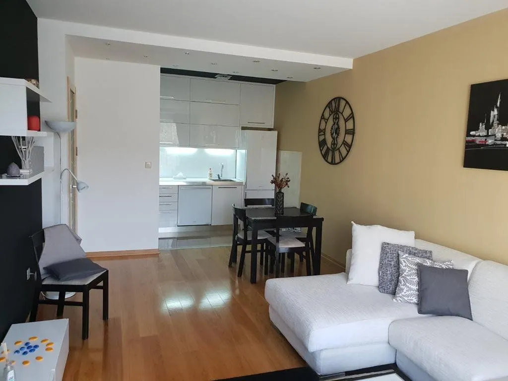 Rent, one bedroom apartment, 55m², Preko Morače, Podgorica