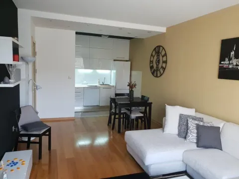 Rent, one bedroom apartment, 55m², Preko Morače, Podgorica - image 2