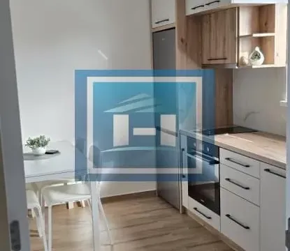 Izdavanje, dvosoban stan, 49m², Centar, Paraćin - image 10