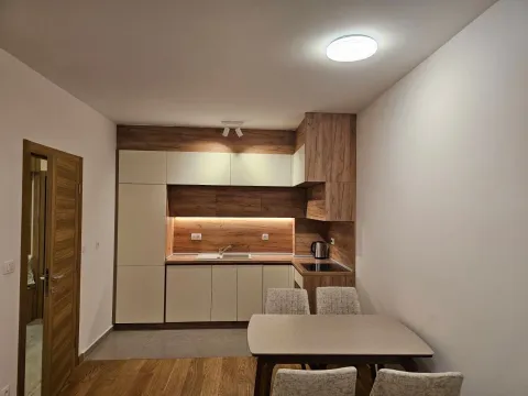 Rent, one bedroom apartment, 43m², New City, Podgorica - image 2