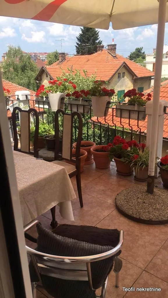 Izdavanje, dvosoban stan, 55m², Profesorska Kolonija, Palilula Sve Podlokacije