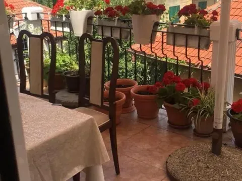 Izdavanje, dvosoban stan, 55m², Profesorska Kolonija, Palilula Sve Podlokacije - image 9