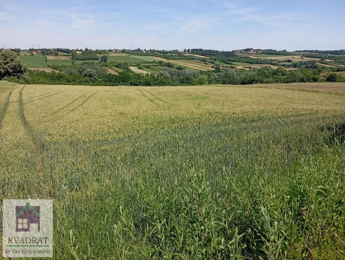 Prodaja, plac, 10000m², Draževac, Obrenovac