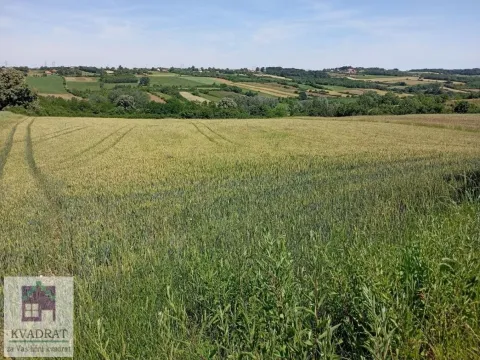 Prodaja, plac, 10000m², Draževac, Obrenovac - image 3