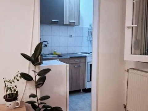 Izdavanje, garsonjera, 22m², Sajmište, Novi Sad - image 5